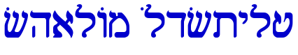 Shalom OldStyle font